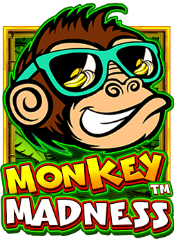 สมัคร ace333 พร้อมสูตรเล่นเกมที่คุณต้องรู้